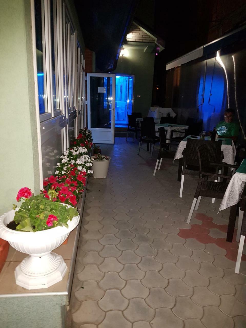 Veliko Gradište Golden Danube Bed & Breakfast エクステリア 写真